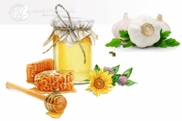 Tỏi và mật ong là  bài thuốc điều trị trào ngược dạ dày hiệu quả