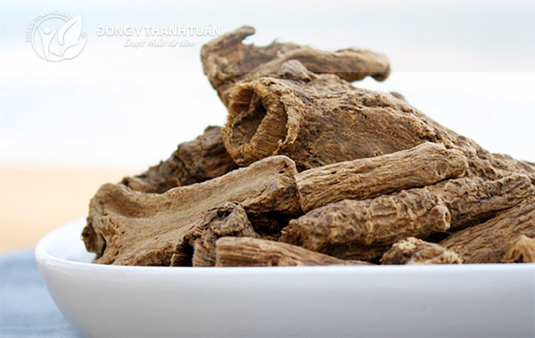 Mộc hương là thảo dược nổi tiếng chữa bệnh đường tiêu hóa tốt