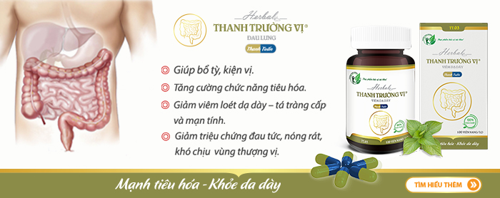 Dạ dày tá tràng