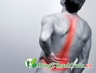 Nguyên nhân và triệu chứng bệnh đau lưng