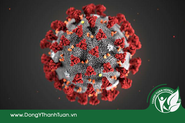 Virus Corona không có khả năng sinh tồn lâu dài ngoài không khí.
