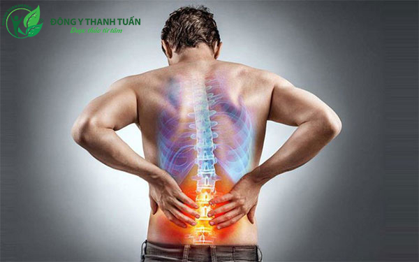 Đau lưng là dấu hiệu của những căn bệnh nguy hiểm như bệnh thận, xương khớp